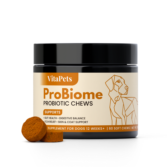 ProBiome™ Probiotic Soft Chews for Dogs
